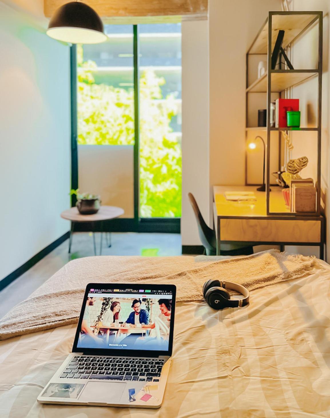Triver Coliving Mexico Extérieur photo